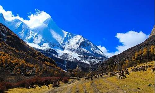 稻城亚丁旅游攻略携程详解_稻城亚丁旅游攻略自由行攻略