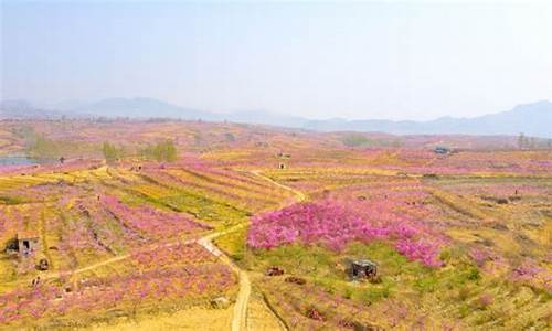 山东四月旅游怎么样_山东四月旅游怎么样啊